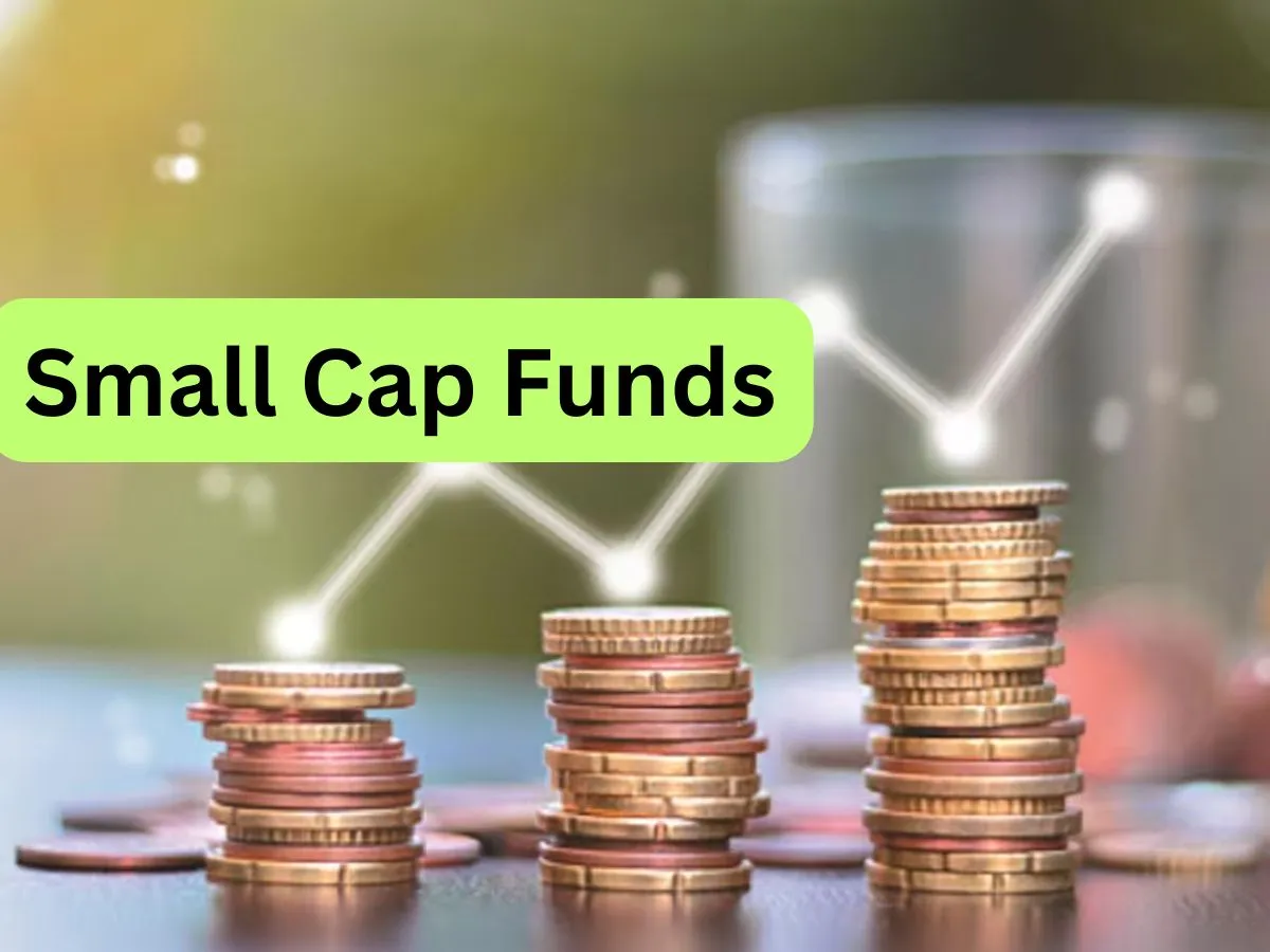 स्मॉलकैप म्युचुअल फंडों में टॉप 10 निवेशकों की हिस्सेदारी में गिरावट – small cap mutual funds see decline in top 10 investor share drops to 14 month low