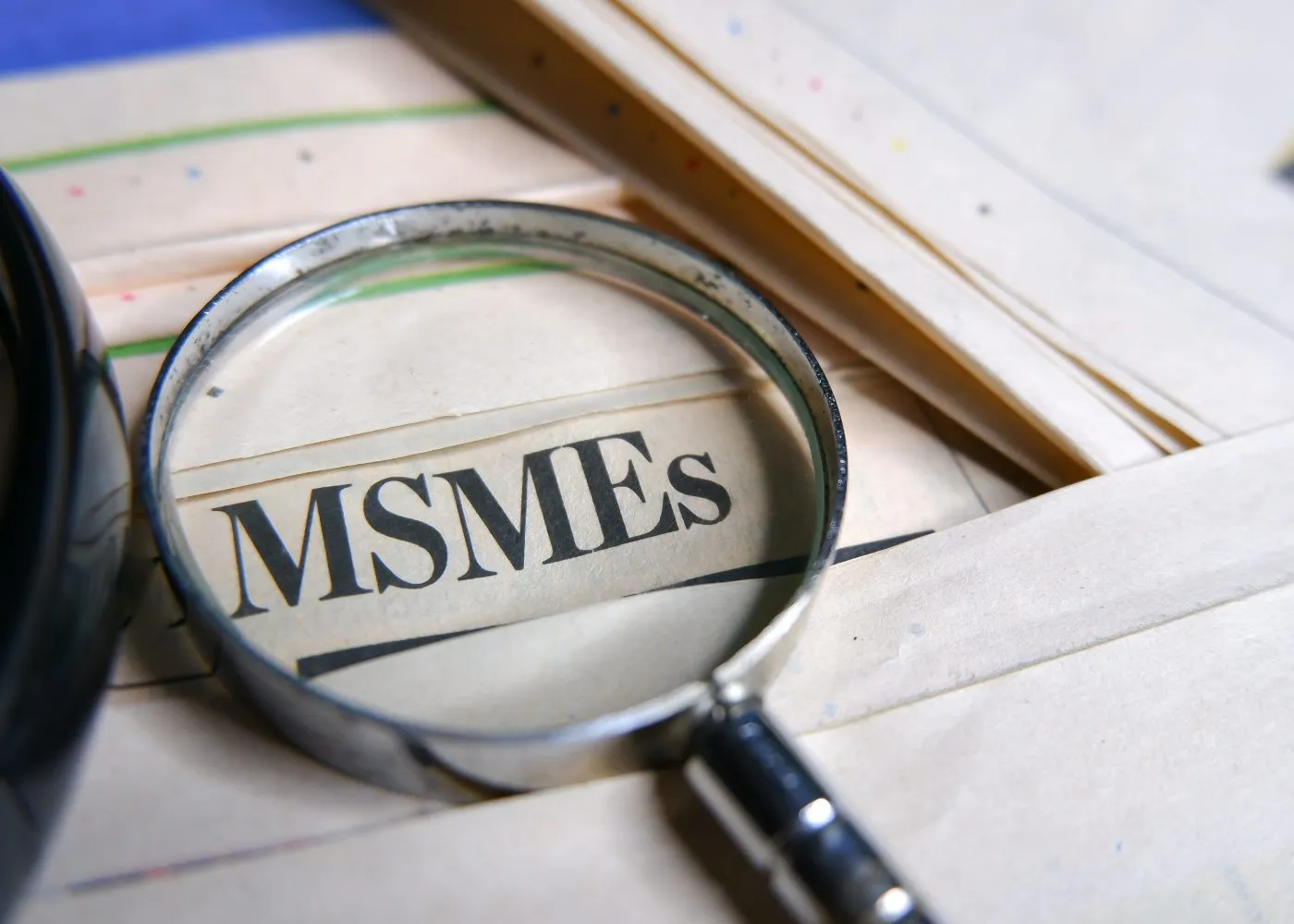 Steel Sector की MSMEs को लेकर क्या कहा इस्पात सचिव ने – what did the steel secretary say about steel sectors msmes