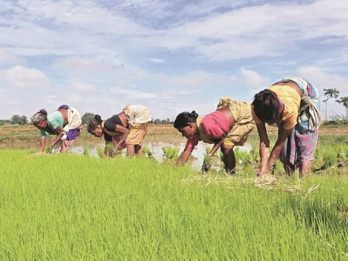 सिर्फ 4 हफ्तों में 53% चढ़ा यह Smallcap Stock, खाद बनाने वाली इस कंपनी के शेयरों पर टूट पड़े निवेशक – this small cap stock rose 53 in just 4 weeks investors pounced on the shares of this fertilizer manufacturing company